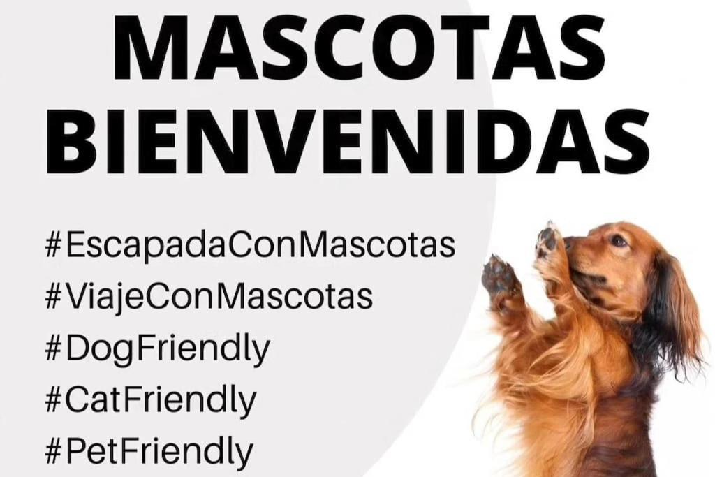 La Caseta De Rotova - Casa Rural Para Desconectar Eksteriør billede