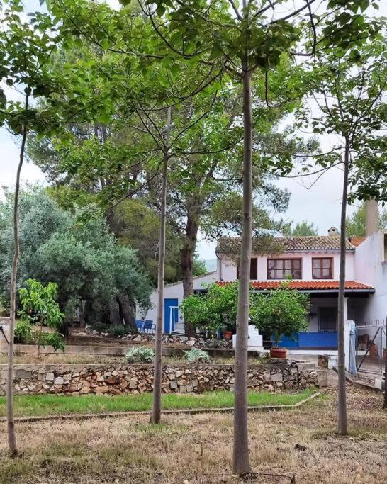 La Caseta De Rotova - Casa Rural Para Desconectar Eksteriør billede